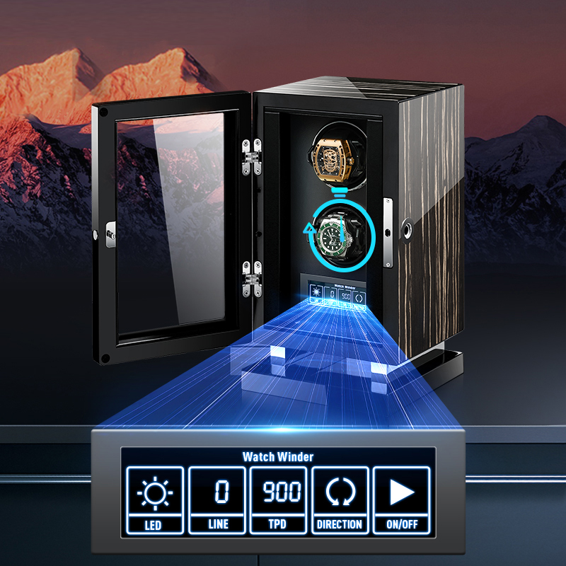 Eonluxe Mechanical Automatic W - đánh giá và giá Luxury Watch Safe